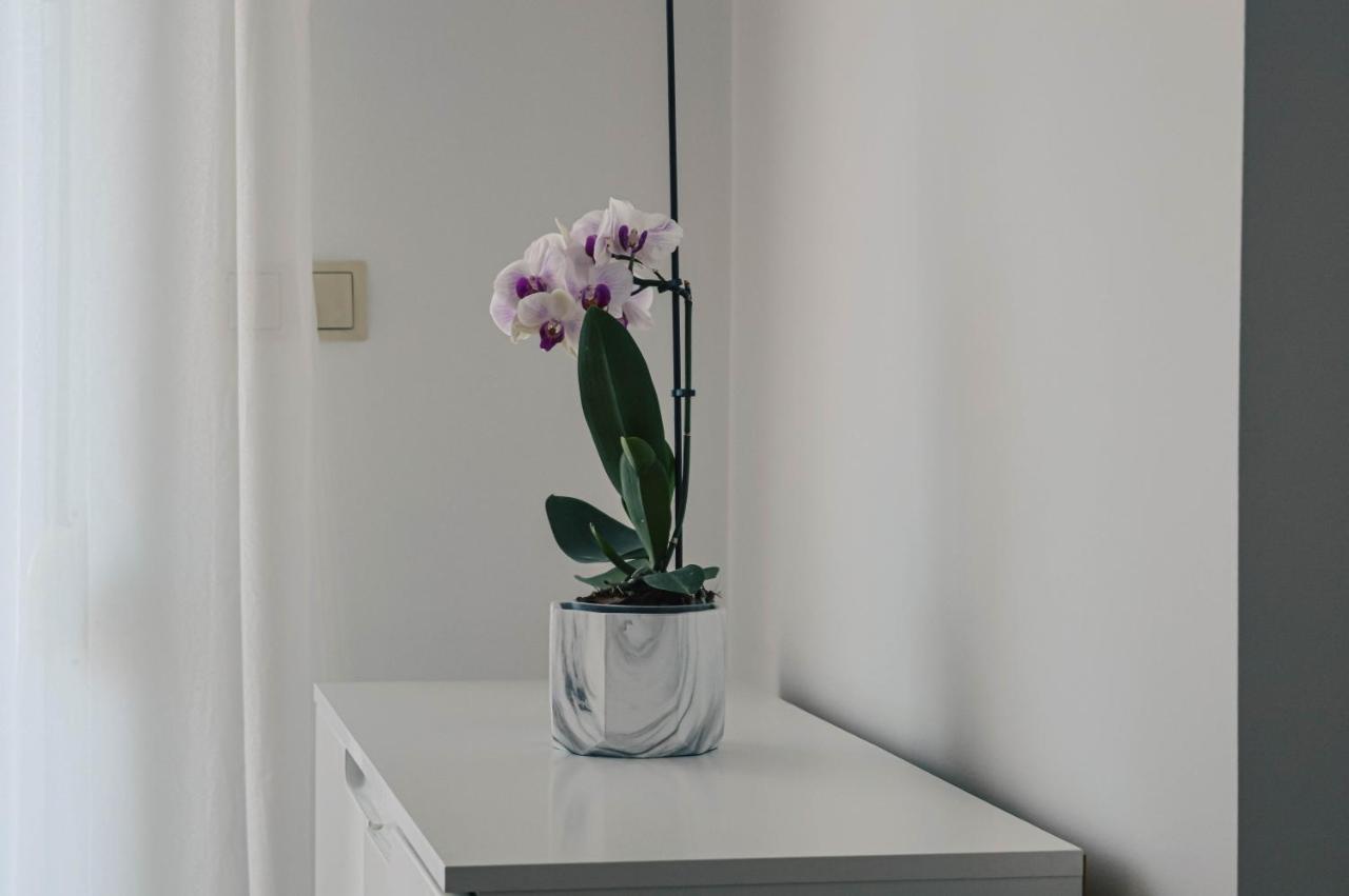 Apartment Valentina Zadar Extérieur photo